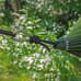 Hamak turystyczny z moskitierą sapphire st-300 forest